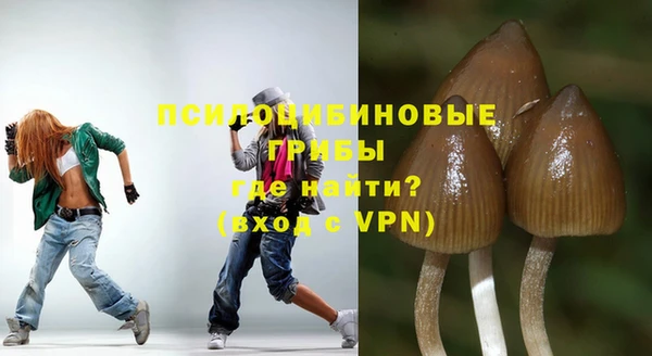 стафф Абинск