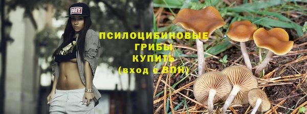 стафф Абинск
