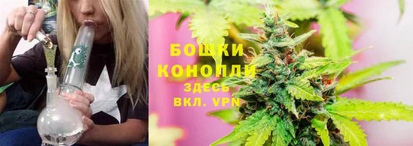 гидропоника Алзамай