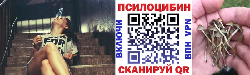 Галлюциногенные грибы Cubensis гидра как войти Мещовск